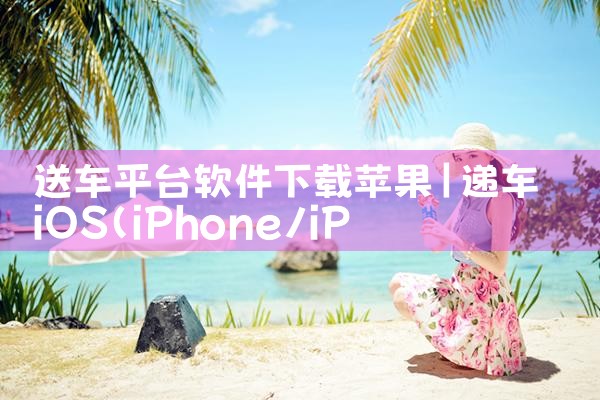送车平台软件下载苹果|小蓝视频