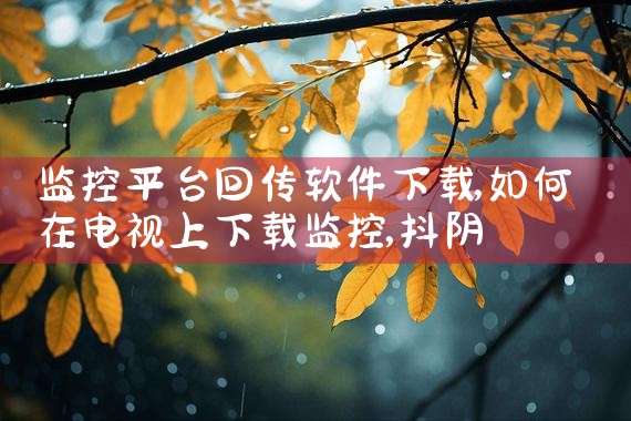 监控平台回传软件下载|抖阴