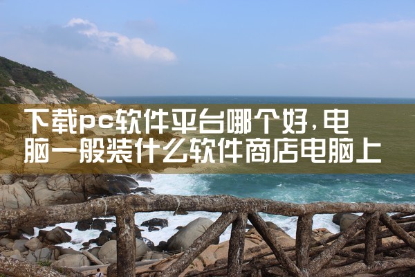 下载pc软件平台哪个好|小蓝视频