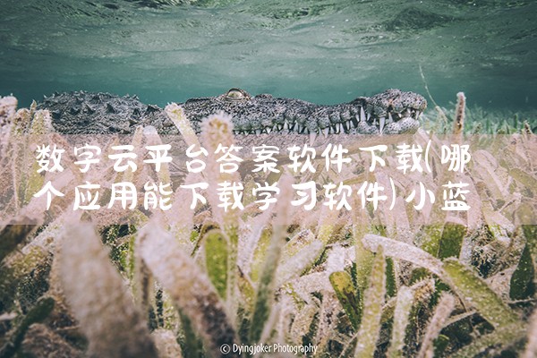 数字云平台答案软件下载|小蓝视频