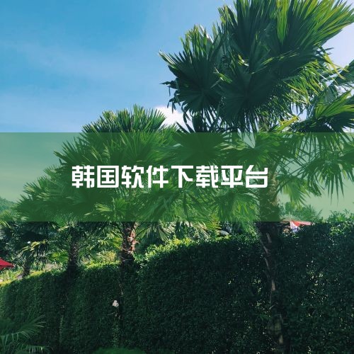 玩韩国手游可使用QooApp、APKPure、OurPlay等综合下载平台，或4399游戏盒、九游、虫虫助手等游戏盒子类工具，搭配UU加速器、迅游手游加速器优化网络，同时可参考TapTap韩服区、韩游,哔咔漫画